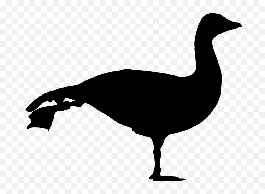 Free Goose Bird Illustrations Emoji,Salt Emoticon