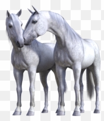 Jumpy Horse Stickers - Stallion Emoji