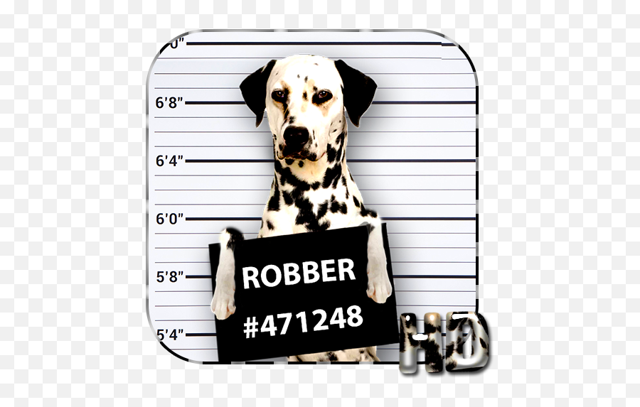 Cool Dog Apus Live Wallpaper U2013 Apps On Google Play - Dalmatian Emoji,Dalmatian Emoji