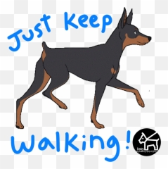 Keep Walking Dogs Sticker By Dan Pet Sitting For Ios - Animation Gif Emoji