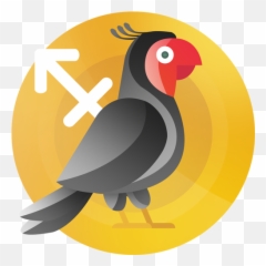 Birdsexing Hashtag - Macaw Emoji,Ostrich Emoji