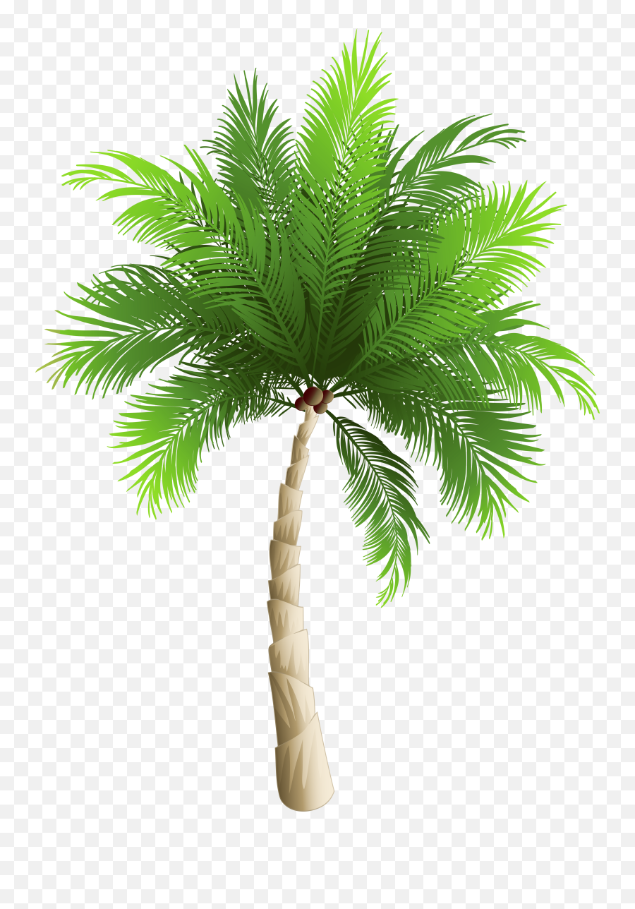 Surfing Clipart Palm Tree Transparent Cartoon - Summer Beach Png Background Emoji,Palm Tree Emoji