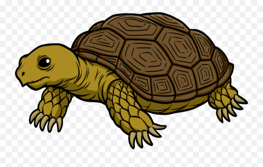 Tortoise Transparent - Tortoise Clip Art Emoji,Tortoise Emoji