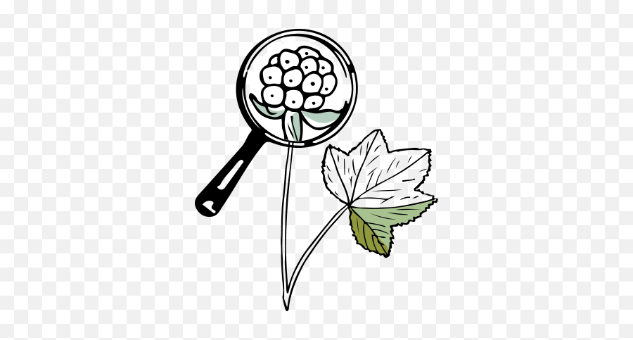 Hoyt Arboretum - Hoyt Arboretum Clip Art Emoji,Walk The Line Emoji