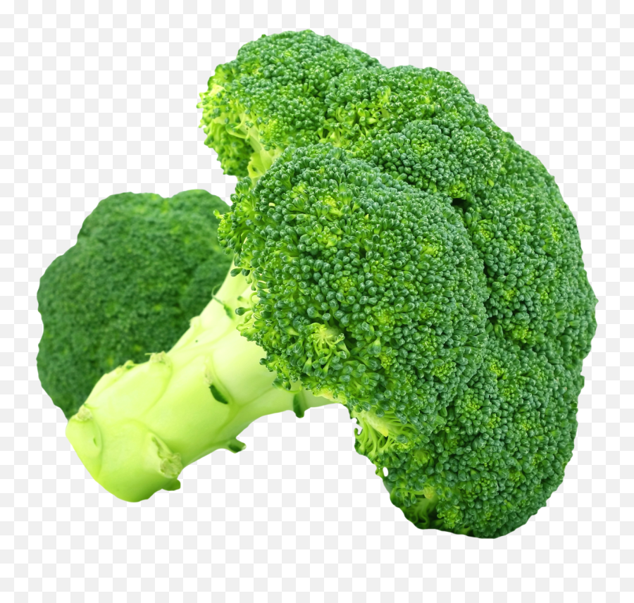 Fork Clipart Broccoli Fork Broccoli Transparent Free For - Broccoli Png Transparent Emoji,Broccoli Emoji