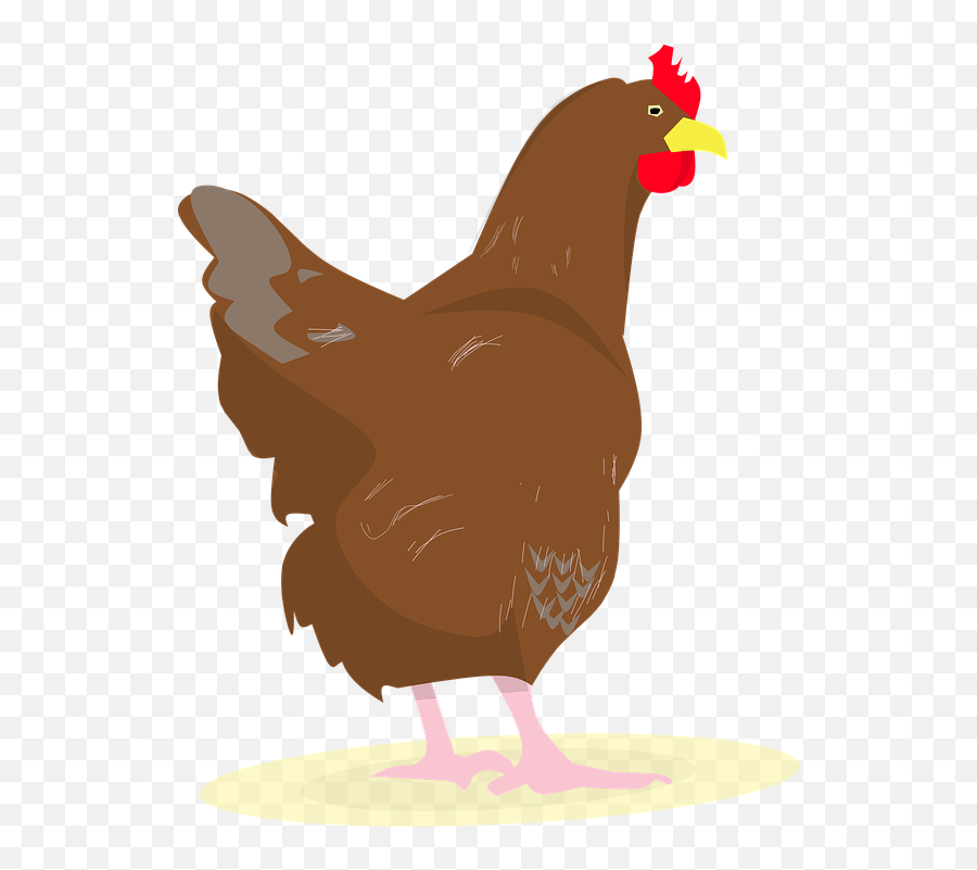 Chicken Rooster Eggs - Chicken Emoji,Party And Chicken Emoji