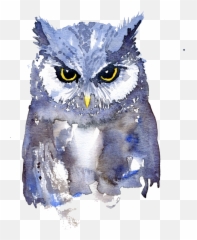 Owl Watercolor Painting Art - Paintings Of Owls Emoji