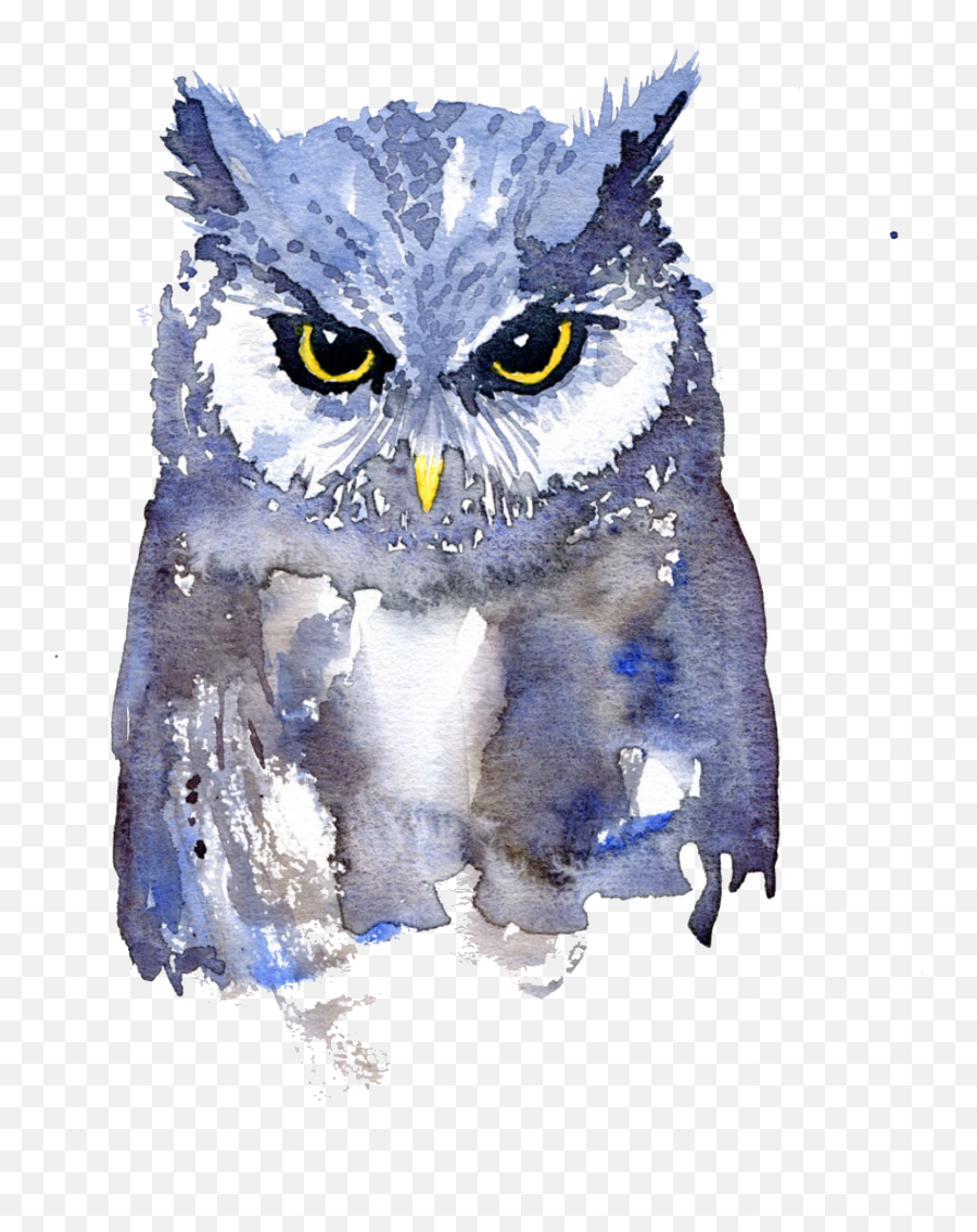Owl Watercolor Painting Art Painting - Watercolor Paintings Of Owls Emoji,Emoji Paintings