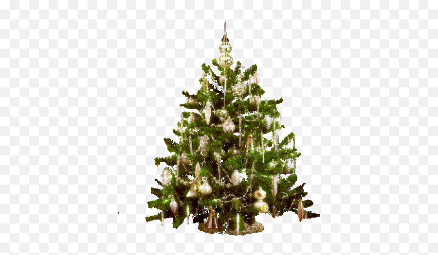 Top Pine Tree Stickers For Android U0026 Ios Gfycat - Christmas Tree Emoji,Christmas Tree Emoticon