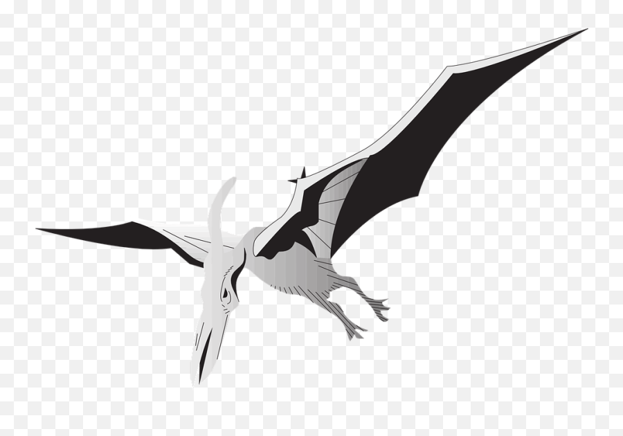 Bird Silver Wings - Pterodactyl Gif Emoji,Dinosaur Emoji Android