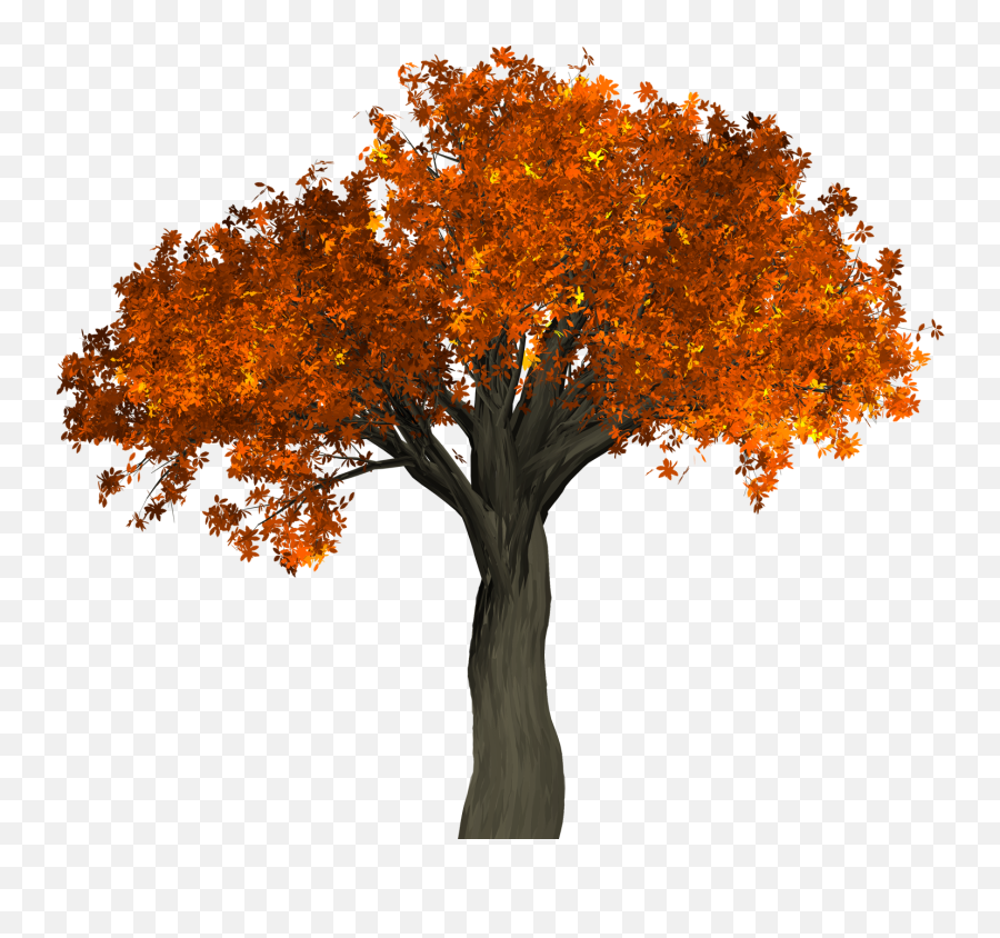 Autumn Tree Png Image - Purepng Free T 194479 Png Autumn Tree No Background Emoji,Autumn Emoji
