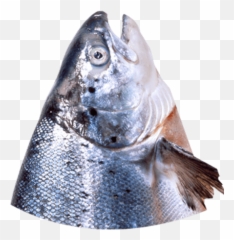 Download Fish Head - Products PNG Image with No Emoji