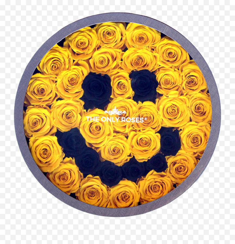 Smiley Face Emoji - Floribunda,Money Face Emoji