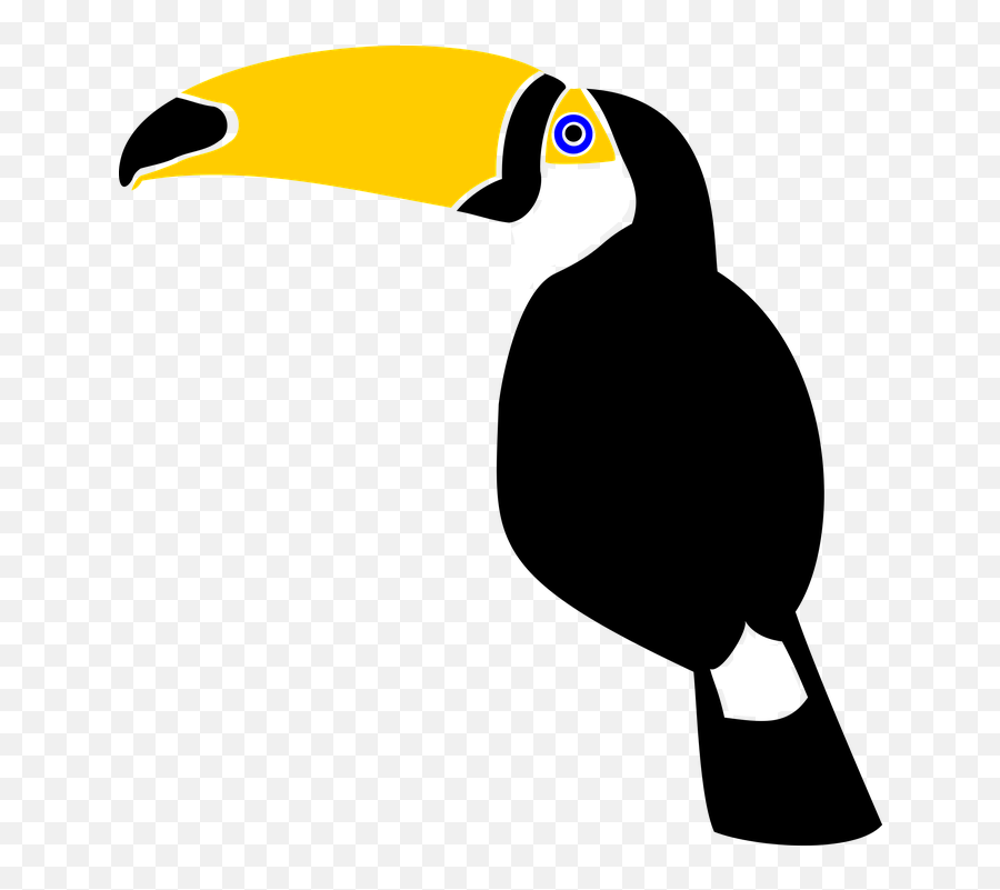 Toucan Bird Jungle Rainforest Feather - Rainforest Toucan Clipart Emoji,Toucan Emoji