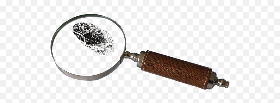 Httpswwwthenewestfactorcomanna - Dziubinska348 2017 Magnifying Glass Mystery Detective Emoji,Magnifying Glass Fish Emoji