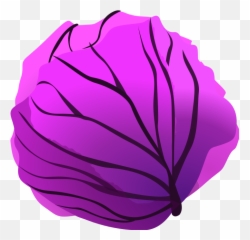 Purple Cabbage Clip Art PNG SVG art for Web - Clipart Emoji
