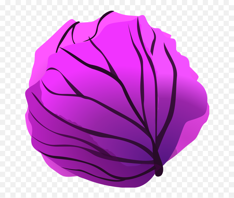 Purple Cabbage Clip Art Png Png Svg Clip Art For Web - Purple Cabbage Clipart Emoji,Cabbage Emoji