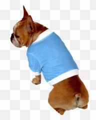 Boxer Puppy Clipart On Transparent - Bulldog Emoji,Boxer Dog Emoji