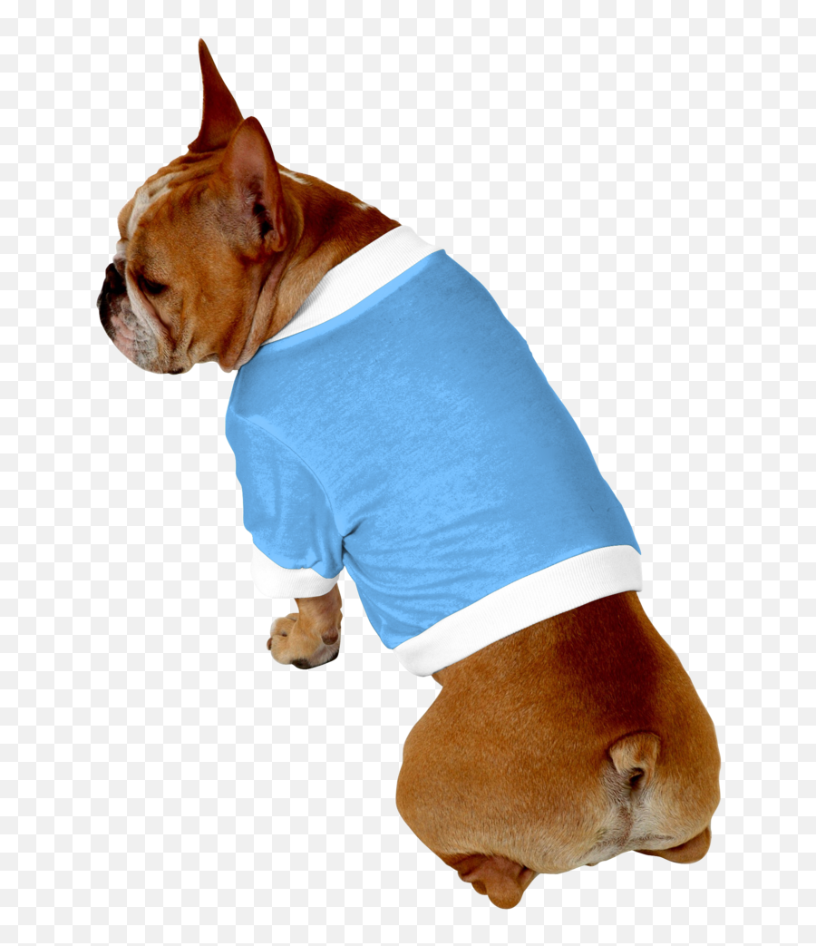 Boxer Puppy Clipart On Transparent - Bulldog Emoji,Boxer Dog Emoji