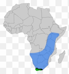 African Bee - Africa South Sudan Map Emoji,Sweat Emoji Text