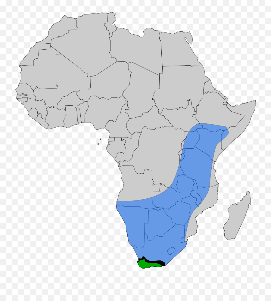African Bee - Africa South Sudan Map Emoji,Sweat Emoji Text
