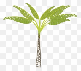 Vector Image Of Tropical Palm Tree - Rocky Point Golf Course Logo Emoji,Palm Tree Emoticon