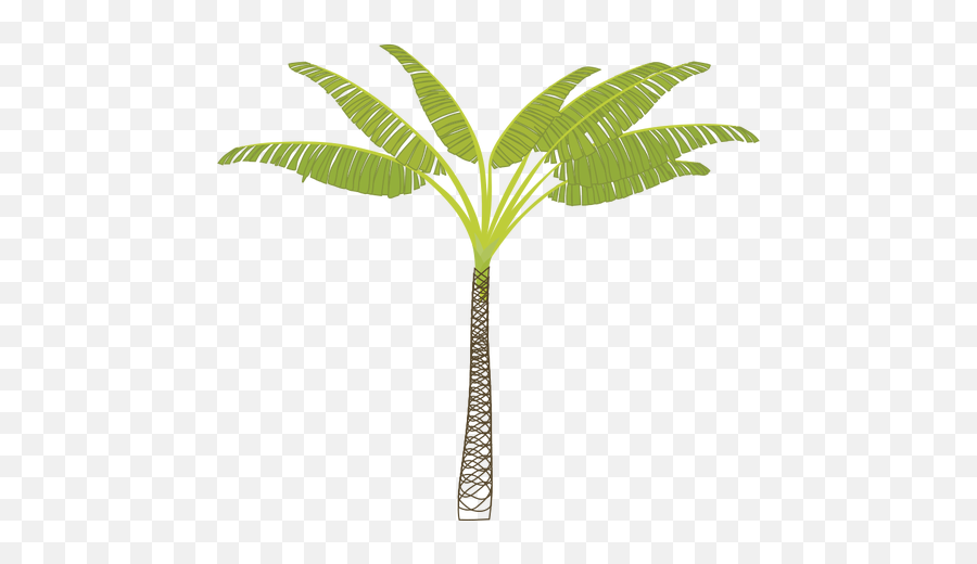 Vector Image Of Tropical Palm Tree - Rocky Point Golf Course Logo Emoji,Palm Tree Emoticon