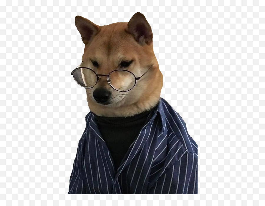 Doge Perro Hachi Lentes Intelectual Meme Perrito - Dog Emoji,Doge Emoji