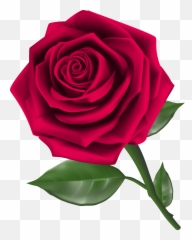 Roses Steam Rose Clipart Image - Rose Clipart Png Emoji,Steam Emoji Art