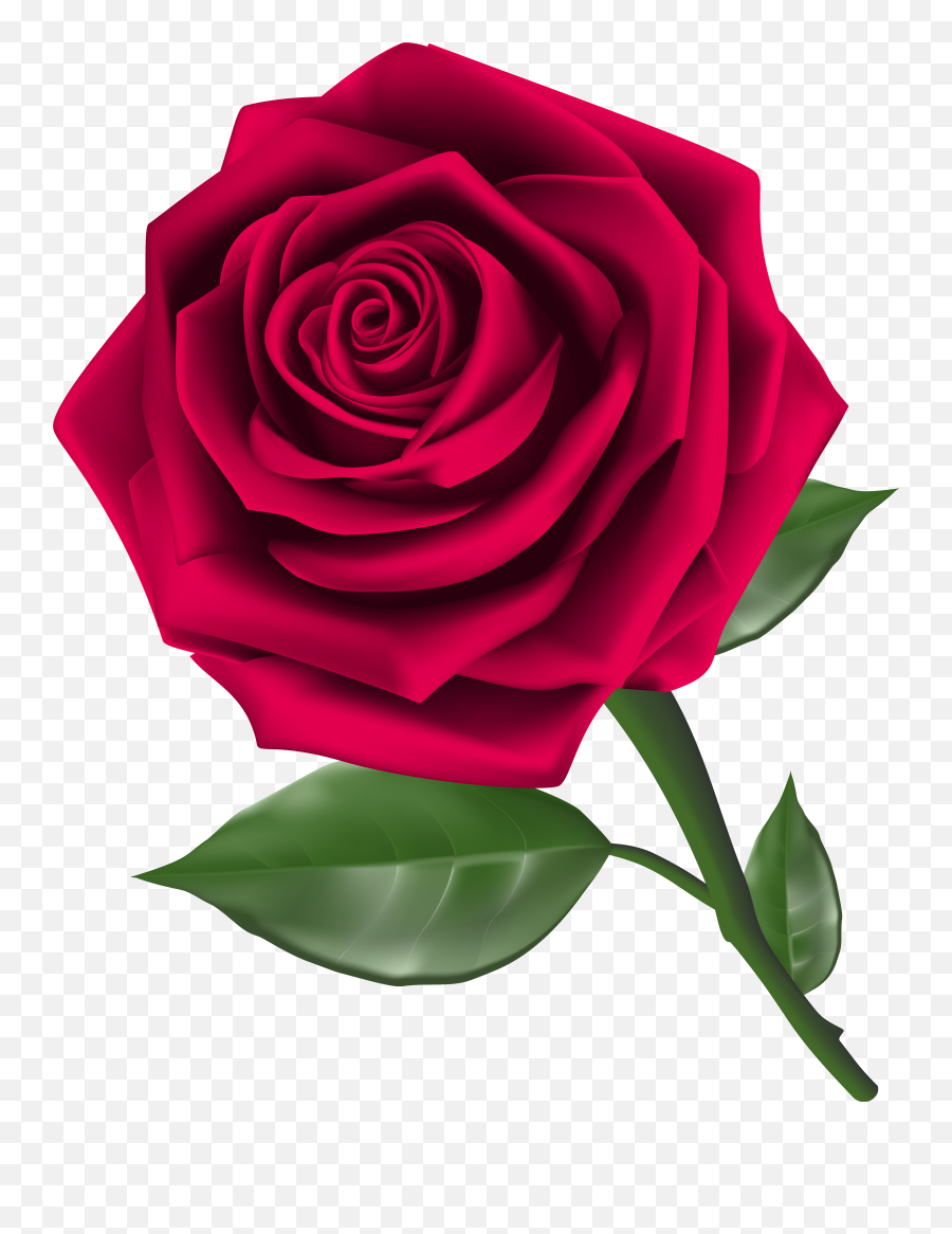 Roses Steam Rose Clipart Image - Rose Clipart Png Emoji,Steam Emoji Art