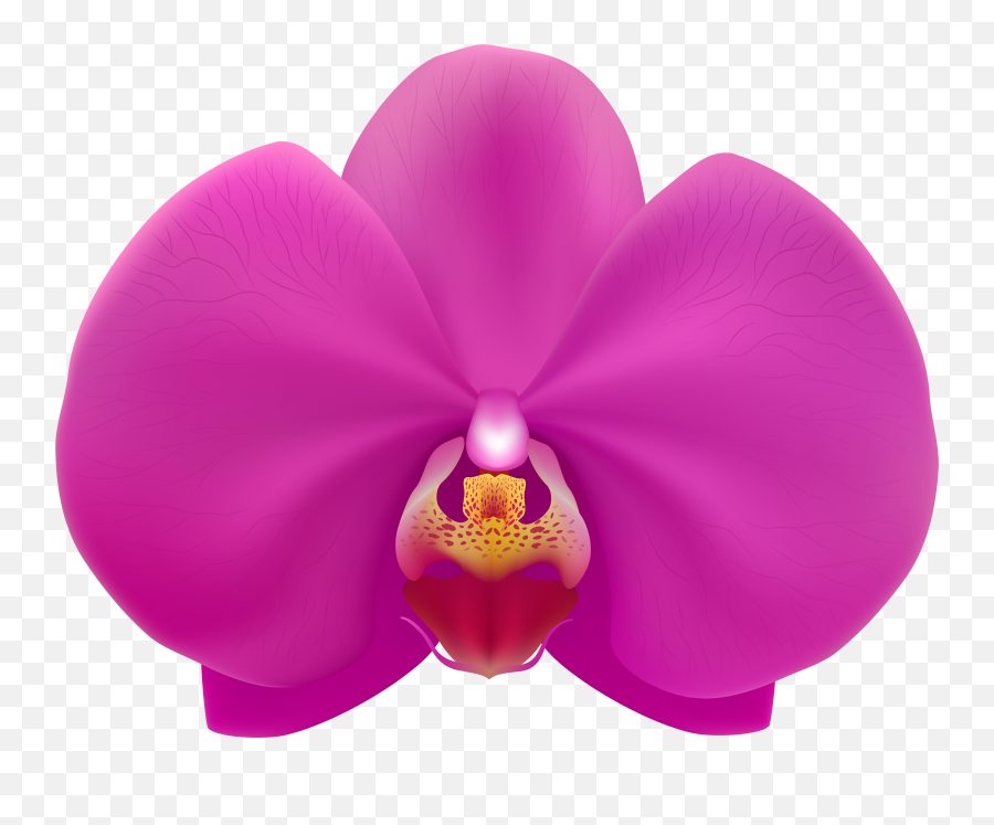 Orchid Clipart Emoji,Orchid Emoji