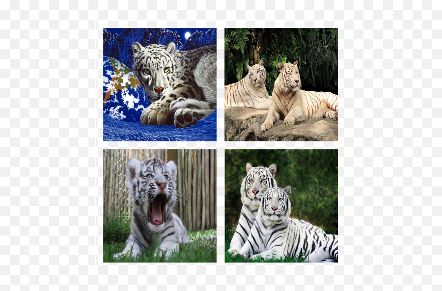 Tiger Skin Battery Widget On Google Play Reviews Stats - Bengal Tiger Emoji,Tiger Flag Emoji