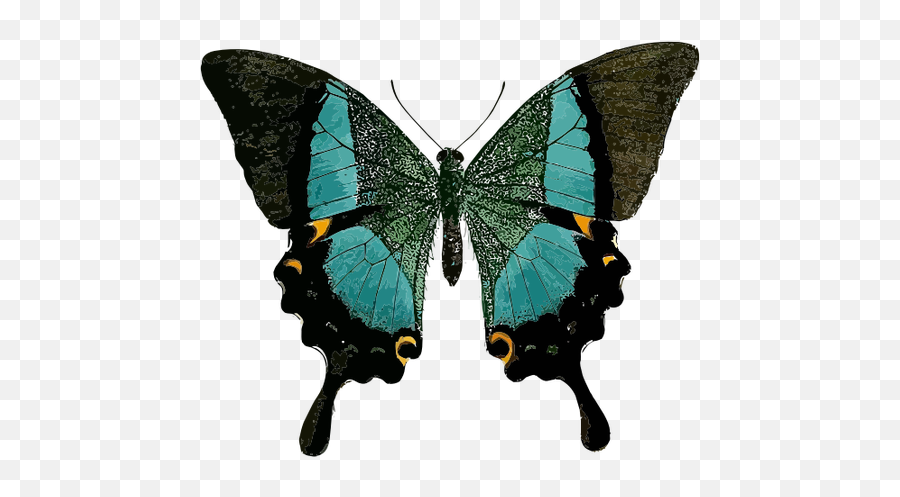 Simbol Biru Kupu - Line Symmetry In Real Life Emoji,Butterfly Emoticon