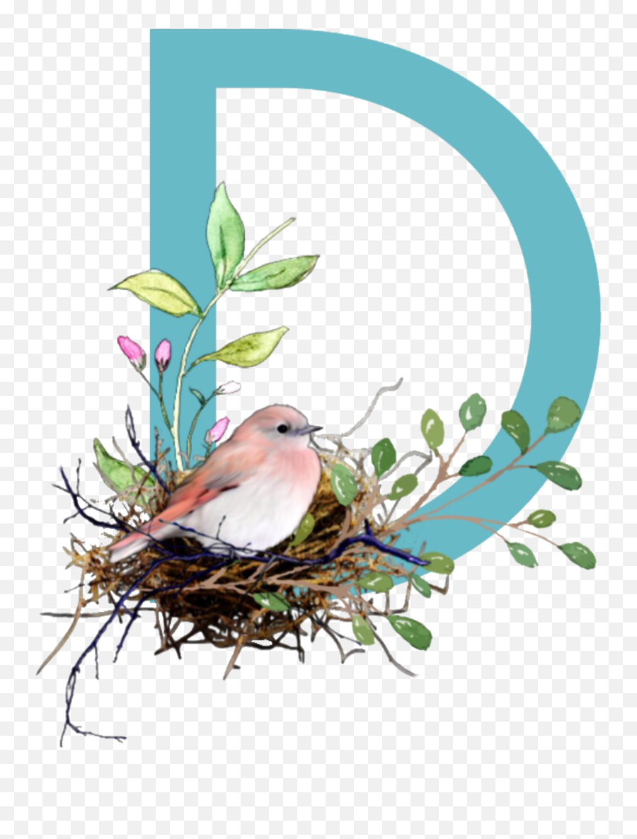 D Monogram Letter Freetoedit - Nightingale Emoji,Finch Emoji