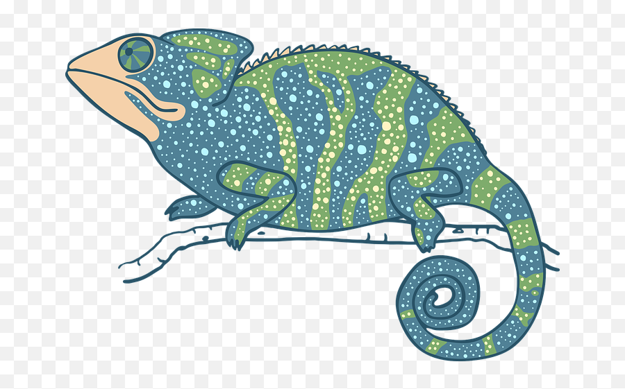 Chameleon Lizard Reptile Animal - Chameleons Emoji,Lizard Emoji