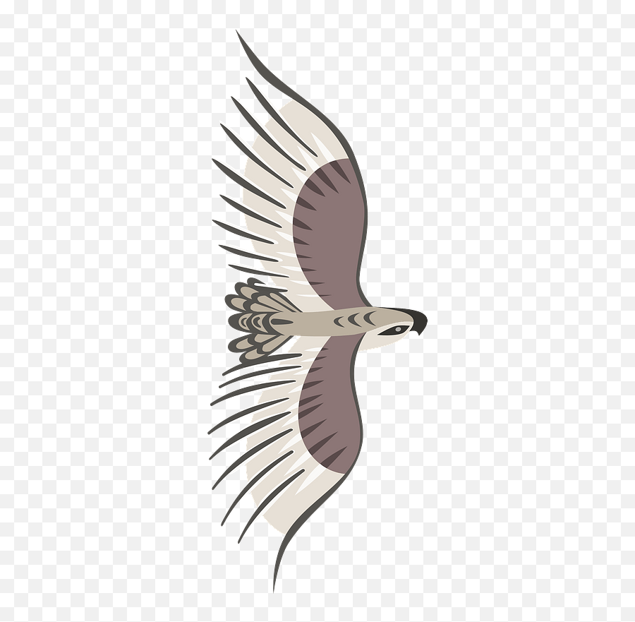 Golden Eagle In Flight Clipart - Bird Top View Png Emoji,Hawk Emoji