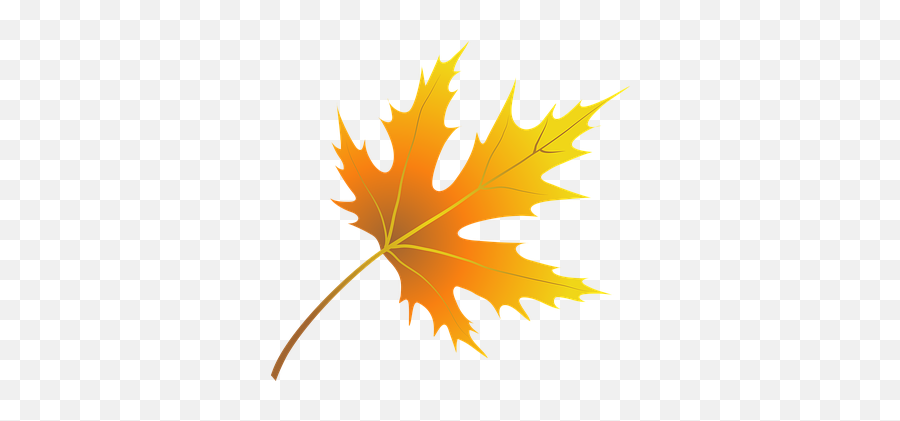 200 Free Orange Garden U0026 Garden Illustrations - Pixabay Feuille D Automne Emoji,Autumn Leaf Emoji