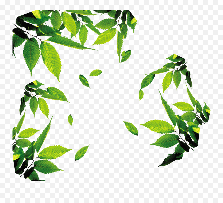 Download Leaves Leaf Teatealeavesleaffloating Icon Free - Tea Leaves Png Emoji,Leaves Emoticon