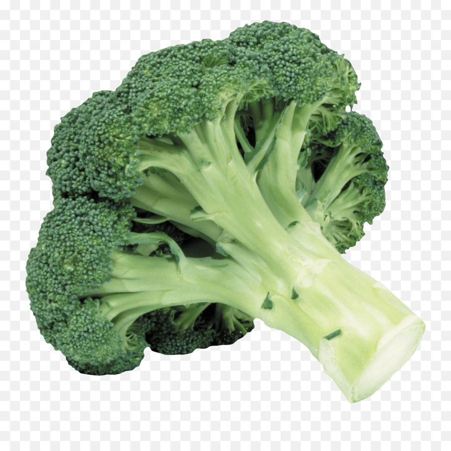 Download Free Broccoli Png Image Icon Favicon - Broccoli Transparent Emoji,Broccoli Emoji