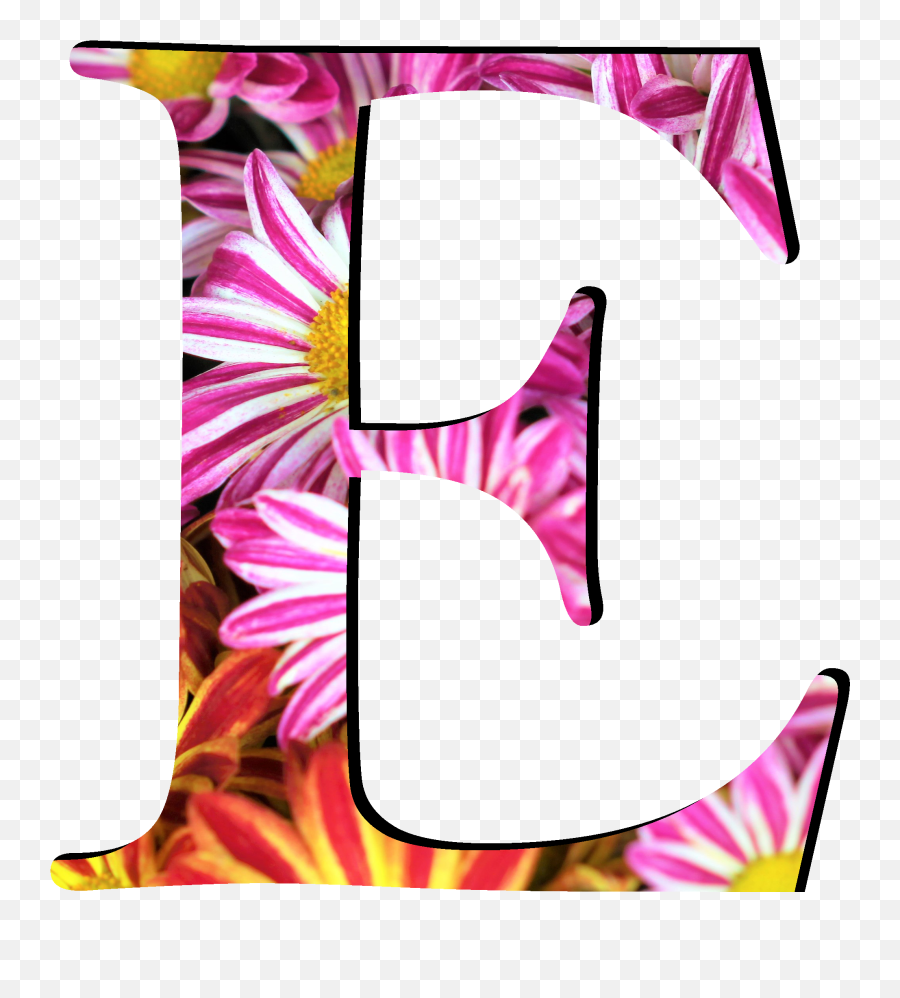 Flower Pattern Letters E - Letter B Pink Flowers Emoji,Letter Emoji Meanings