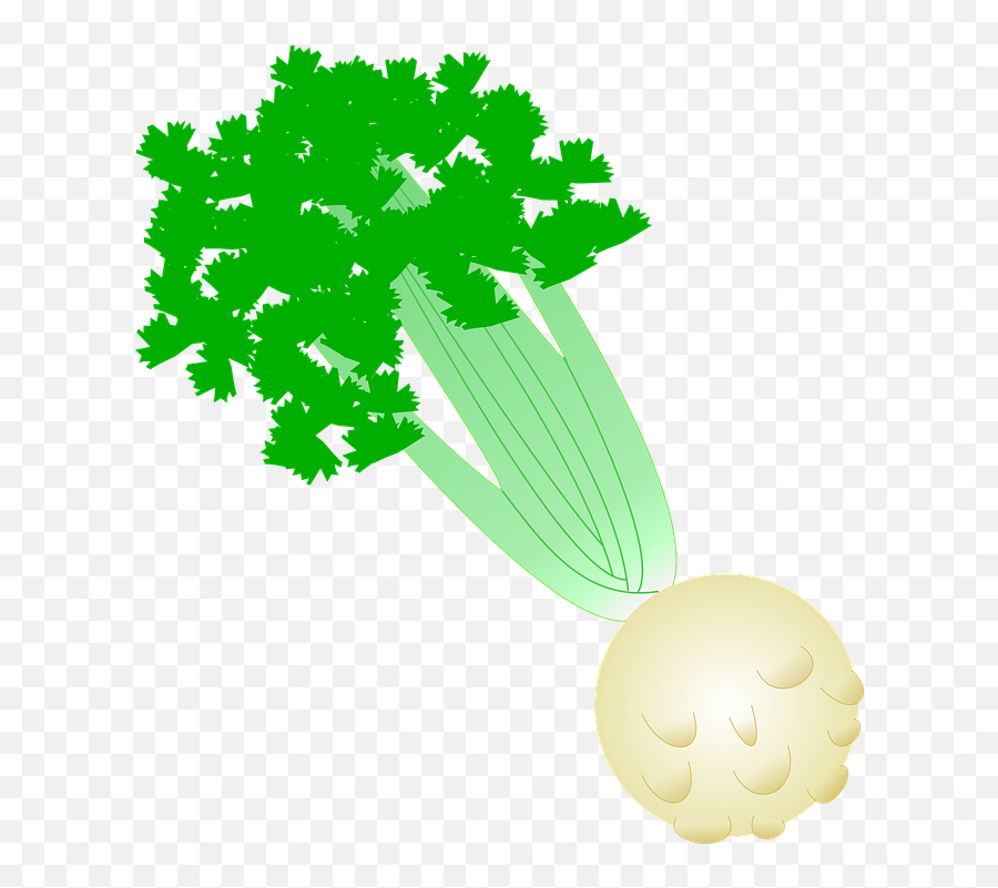 Celeriac Celery Vegetable - Celery Root Clipart Emoji,Garlic Bread Emoji