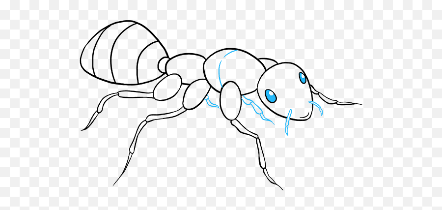 How To Draw An Ant - Really Easy Drawing Tutoria Emoji,Ant Emoji