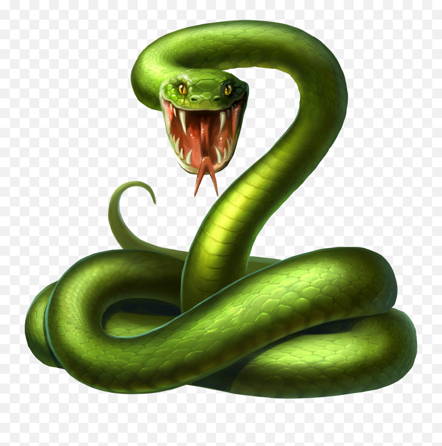 Snake Android Illustration Green - Snake Open Mouth Front View Emoji,Snake Emoji