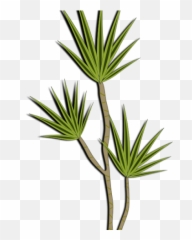 Desert Clipart Bush - Png Download Full Size Art Emoji