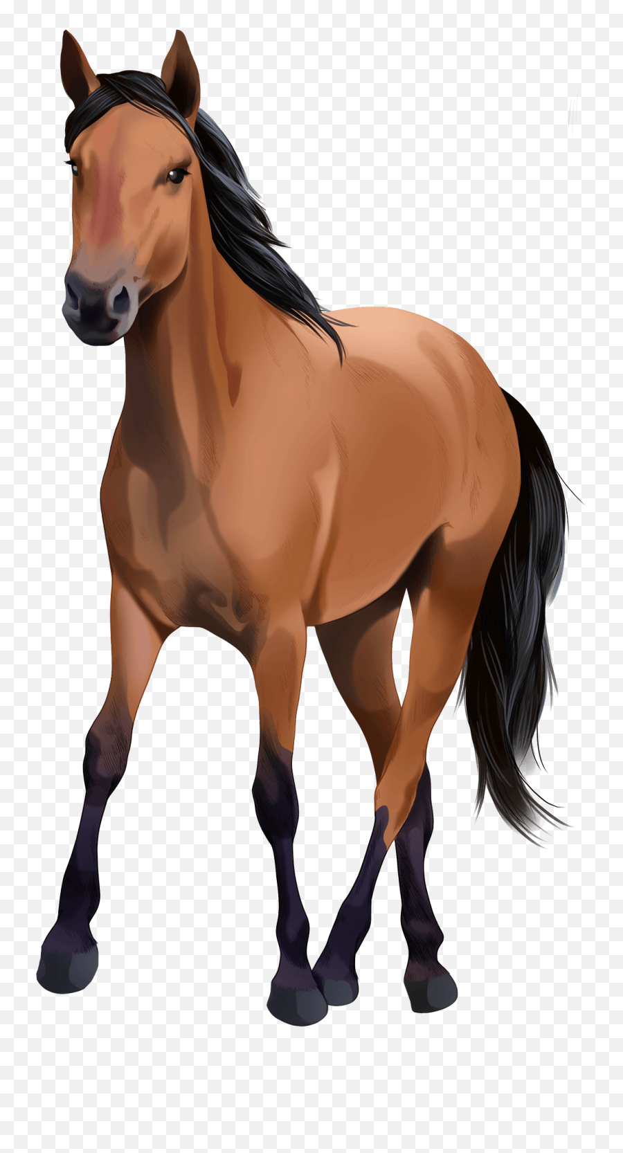 Kiger Mustang Clipart Free Download Transparent Png - Animal Figure Emoji,Mustang Emoji