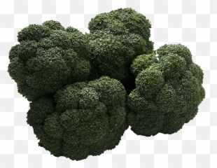 Download Broccoli Png Image Hq Png Image - Foods That Are Bitter Taste Emoji,Broccoli Emoji