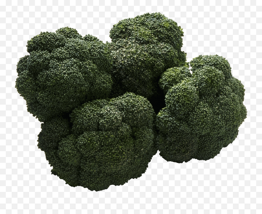 Download Broccoli Png Image Hq Png Image - Foods That Are Bitter Taste Emoji,Broccoli Emoji