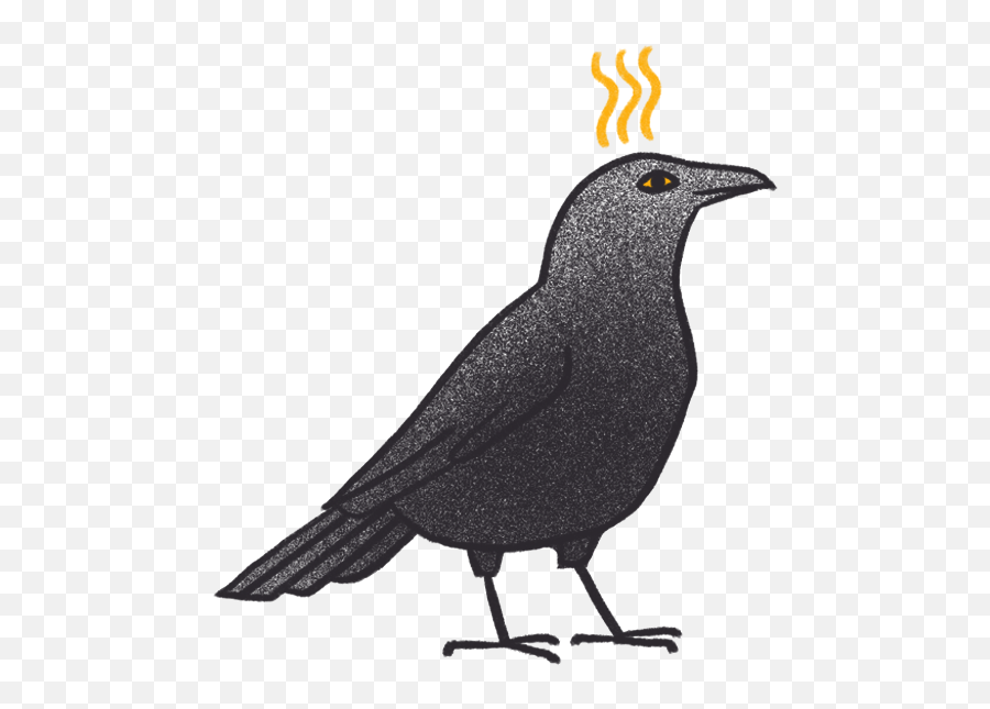Crow Bro By Lorik Khodaverdian - American Crow Emoji,Crow Emoji