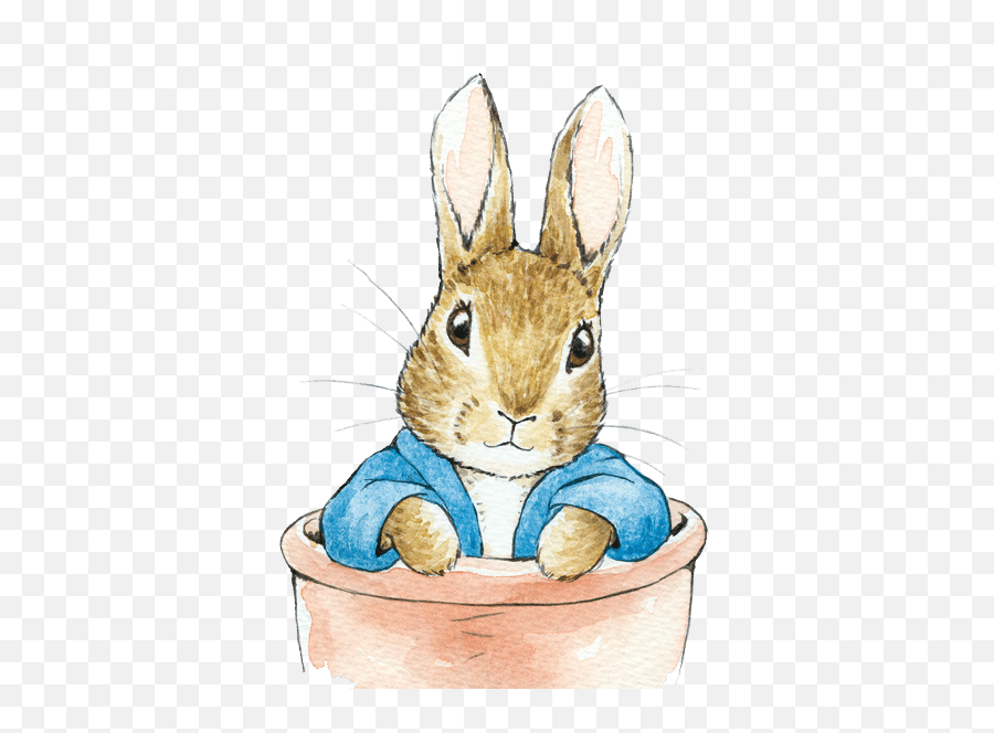 Emoji Plates U2014 Meri Meri - Vozelicom Peter Rabbit Png Easter,Emoji Arts And Crafts
