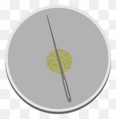 Compass Do - Circle Emoji